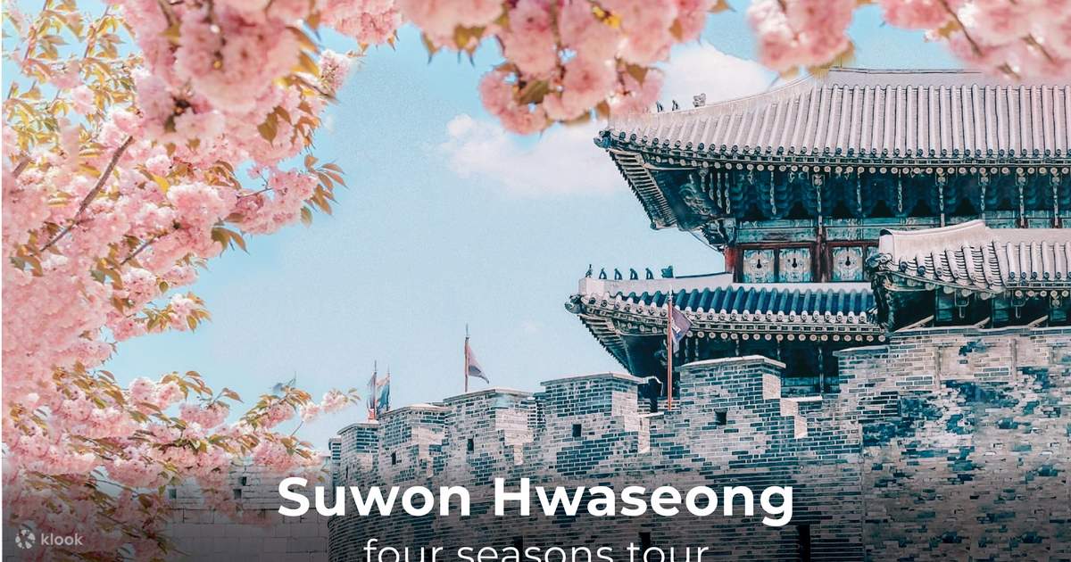Cherry Blossom Suwon Hwaseong Fortress Tour from Seoul - Klook